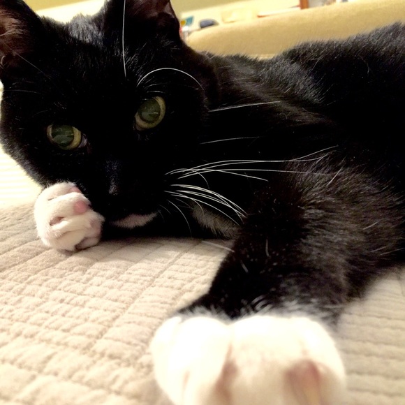 Thank you for the last five years! - Picture 8 of 16